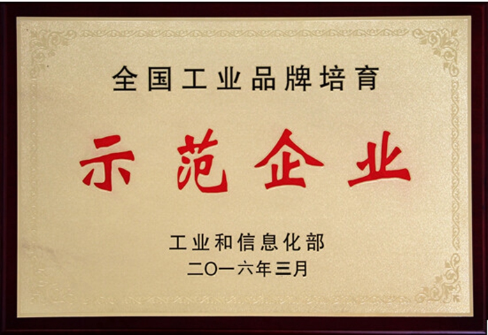 工業(yè)品牌示范企業(yè)證書